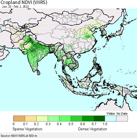 Asia Cropland NDVI (VIIRS) Thematic Map For 1/25/2022 - 2/1/2022