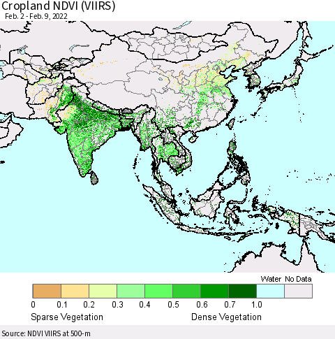 Asia Cropland NDVI (VIIRS) Thematic Map For 2/2/2022 - 2/9/2022