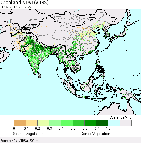 Asia Cropland NDVI (VIIRS) Thematic Map For 2/10/2022 - 2/17/2022