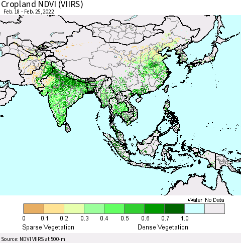 Asia Cropland NDVI (VIIRS) Thematic Map For 2/18/2022 - 2/25/2022