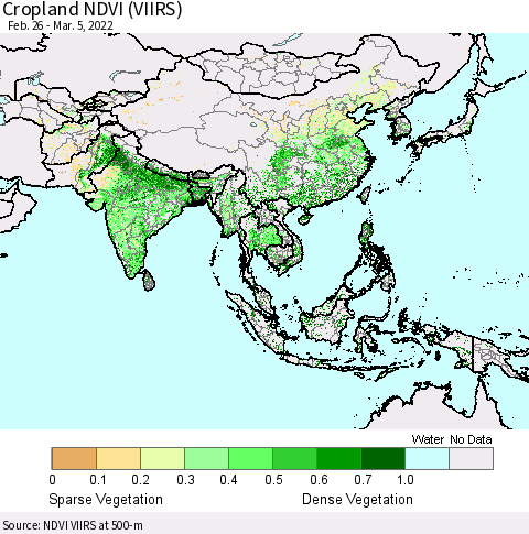Asia Cropland NDVI (VIIRS) Thematic Map For 2/26/2022 - 3/5/2022
