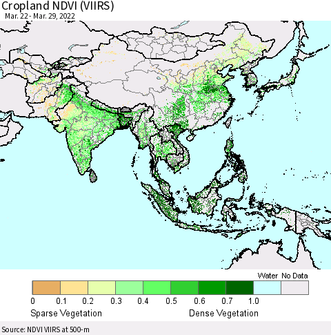 Asia Cropland NDVI (VIIRS) Thematic Map For 3/22/2022 - 3/29/2022