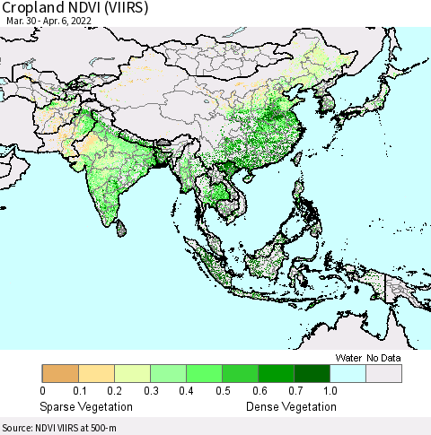 Asia Cropland NDVI (VIIRS) Thematic Map For 3/30/2022 - 4/6/2022