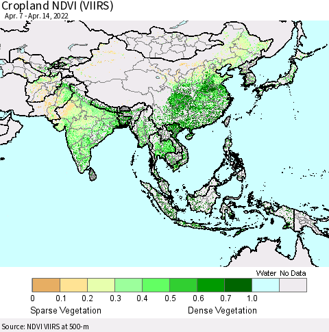 Asia Cropland NDVI (VIIRS) Thematic Map For 4/7/2022 - 4/14/2022