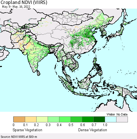 Asia Cropland NDVI (VIIRS) Thematic Map For 5/9/2022 - 5/16/2022