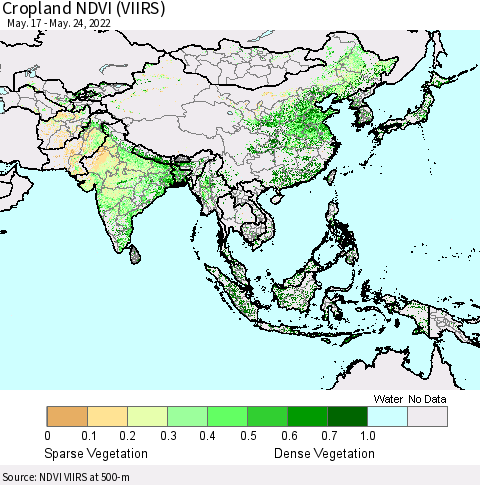 Asia Cropland NDVI (VIIRS) Thematic Map For 5/17/2022 - 5/24/2022