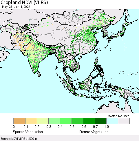 Asia Cropland NDVI (VIIRS) Thematic Map For 5/25/2022 - 6/1/2022