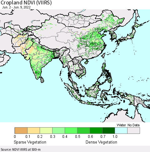 Asia Cropland NDVI (VIIRS) Thematic Map For 6/2/2022 - 6/9/2022