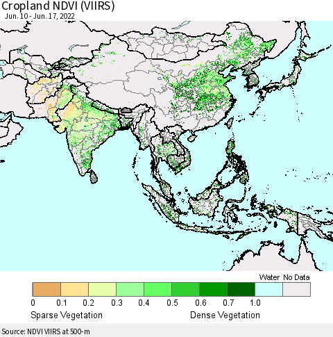 Asia Cropland NDVI (VIIRS) Thematic Map For 6/10/2022 - 6/17/2022