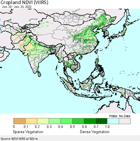 Asia Cropland NDVI (VIIRS) Thematic Map For 6/18/2022 - 6/25/2022