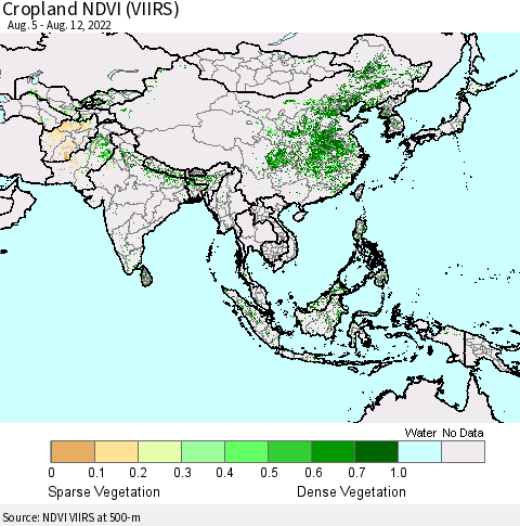 Asia Cropland NDVI (VIIRS) Thematic Map For 8/5/2022 - 8/12/2022