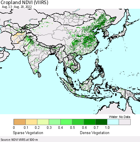 Asia Cropland NDVI (VIIRS) Thematic Map For 8/13/2022 - 8/20/2022