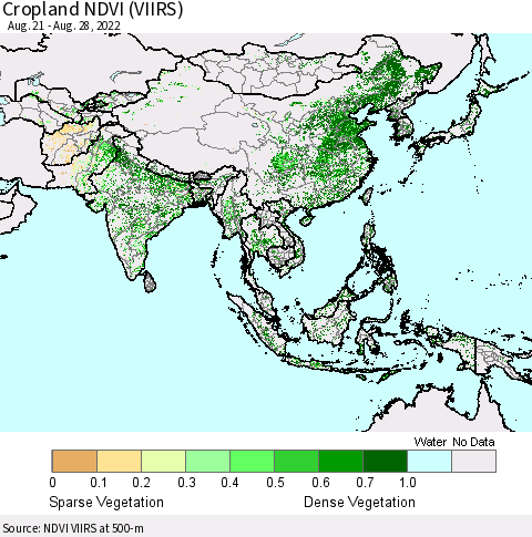 Asia Cropland NDVI (VIIRS) Thematic Map For 8/21/2022 - 8/28/2022
