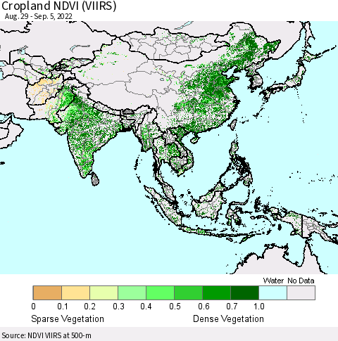 Asia Cropland NDVI (VIIRS) Thematic Map For 8/29/2022 - 9/5/2022