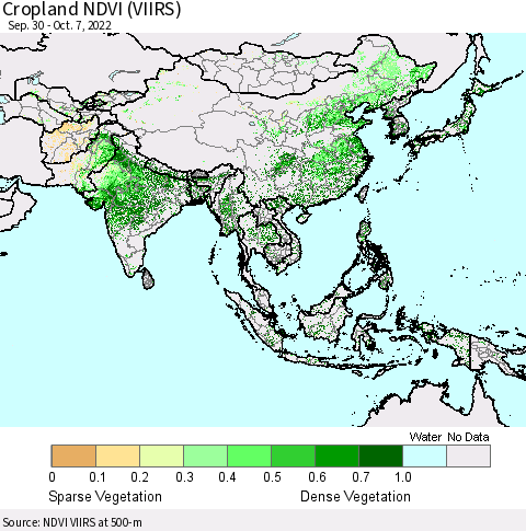 Asia Cropland NDVI (VIIRS) Thematic Map For 9/30/2022 - 10/7/2022