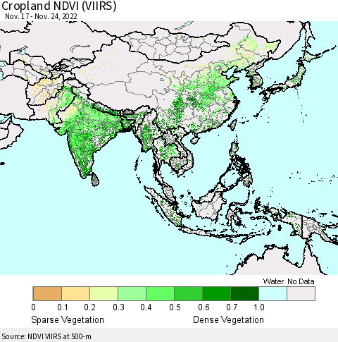 Asia Cropland NDVI (VIIRS) Thematic Map For 11/17/2022 - 11/24/2022