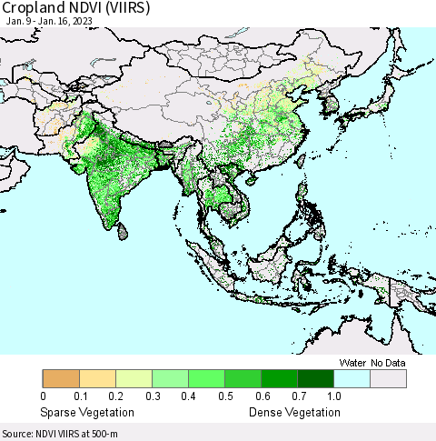 Asia Cropland NDVI (VIIRS) Thematic Map For 1/9/2023 - 1/16/2023