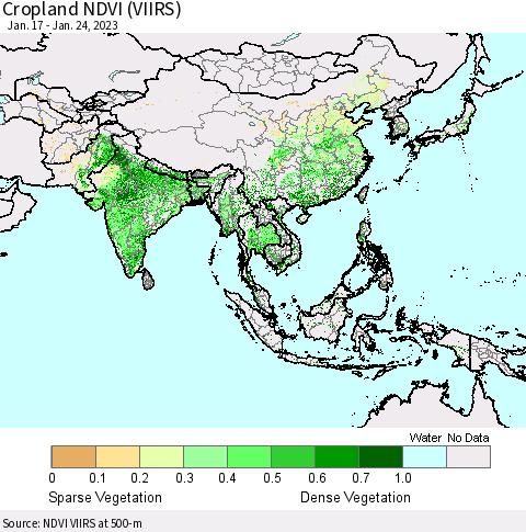 Asia Cropland NDVI (VIIRS) Thematic Map For 1/17/2023 - 1/24/2023