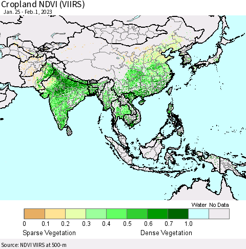 Asia Cropland NDVI (VIIRS) Thematic Map For 1/25/2023 - 2/1/2023