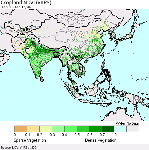 Asia Cropland NDVI (VIIRS) Thematic Map For 2/10/2023 - 2/17/2023