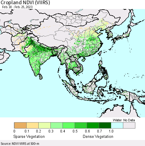 Asia Cropland NDVI (VIIRS) Thematic Map For 2/18/2023 - 2/25/2023