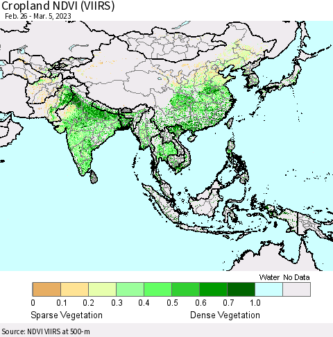 Asia Cropland NDVI (VIIRS) Thematic Map For 2/26/2023 - 3/5/2023