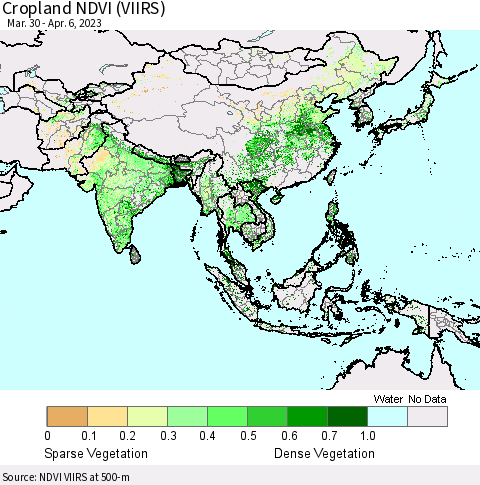 Asia Cropland NDVI (VIIRS) Thematic Map For 3/30/2023 - 4/6/2023