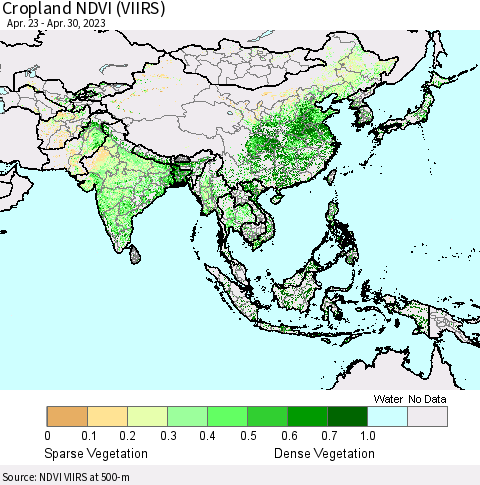 Asia Cropland NDVI (VIIRS) Thematic Map For 4/23/2023 - 4/30/2023