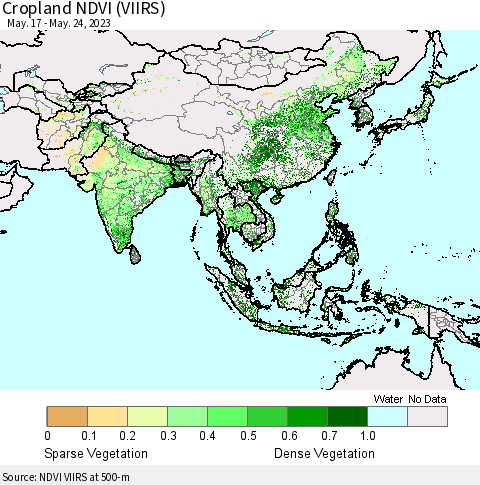 Asia Cropland NDVI (VIIRS) Thematic Map For 5/17/2023 - 5/24/2023