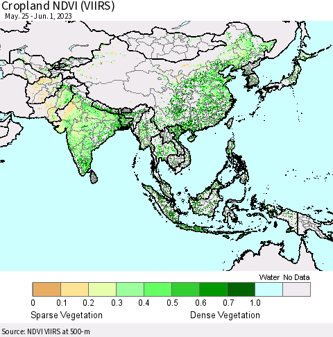 Asia Cropland NDVI (VIIRS) Thematic Map For 5/25/2023 - 6/1/2023
