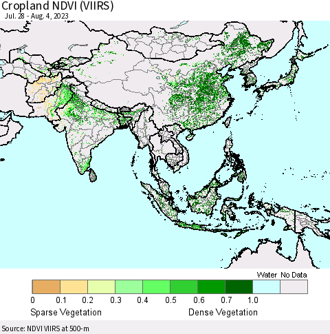 Asia Cropland NDVI (VIIRS) Thematic Map For 7/28/2023 - 8/4/2023