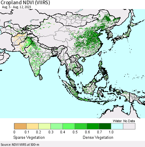 Asia Cropland NDVI (VIIRS) Thematic Map For 8/5/2023 - 8/12/2023