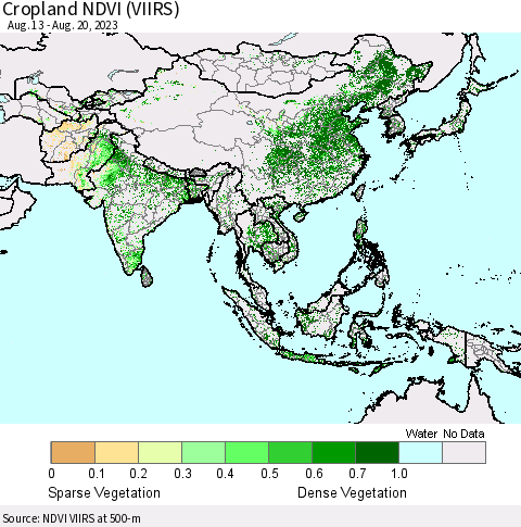 Asia Cropland NDVI (VIIRS) Thematic Map For 8/13/2023 - 8/20/2023