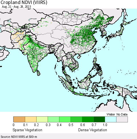 Asia Cropland NDVI (VIIRS) Thematic Map For 8/21/2023 - 8/28/2023