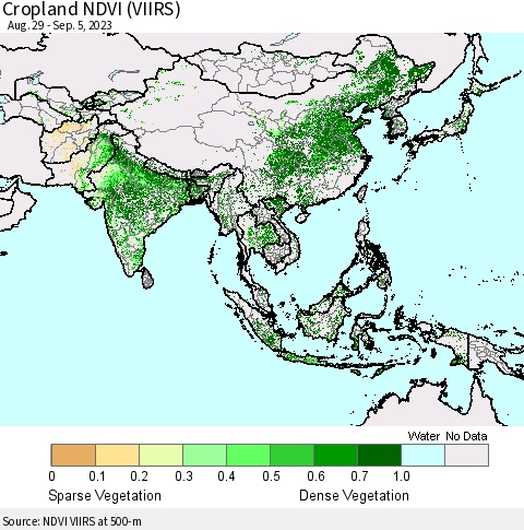 Asia Cropland NDVI (VIIRS) Thematic Map For 8/29/2023 - 9/5/2023