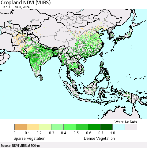 Asia Cropland NDVI (VIIRS) Thematic Map For 1/1/2024 - 1/8/2024