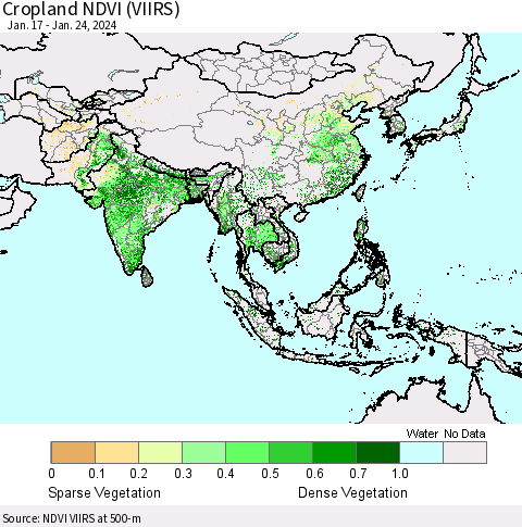 Asia Cropland NDVI (VIIRS) Thematic Map For 1/17/2024 - 1/24/2024