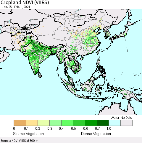 Asia Cropland NDVI (VIIRS) Thematic Map For 1/25/2024 - 2/1/2024
