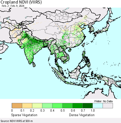 Asia Cropland NDVI (VIIRS) Thematic Map For 2/2/2024 - 2/9/2024
