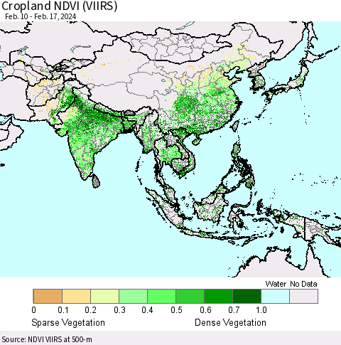 Asia Cropland NDVI (VIIRS) Thematic Map For 2/10/2024 - 2/17/2024