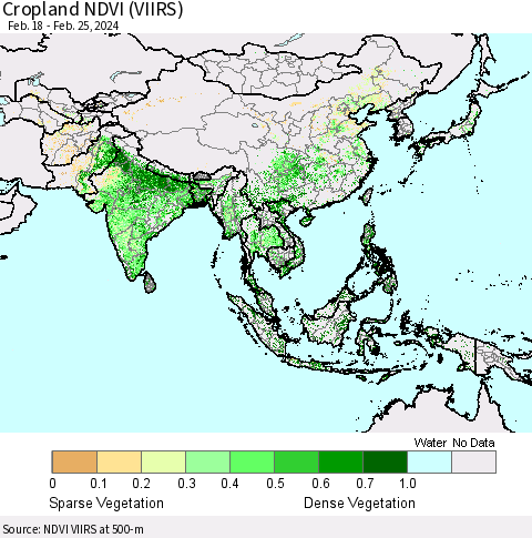Asia Cropland NDVI (VIIRS) Thematic Map For 2/18/2024 - 2/25/2024