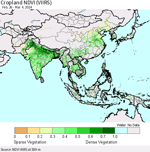 Asia Cropland NDVI (VIIRS) Thematic Map For 2/26/2024 - 3/4/2024
