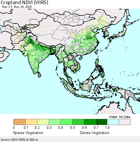 Asia Cropland NDVI (VIIRS) Thematic Map For 3/13/2024 - 3/20/2024