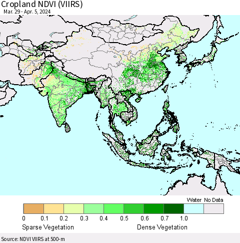 Asia Cropland NDVI (VIIRS) Thematic Map For 3/29/2024 - 4/5/2024