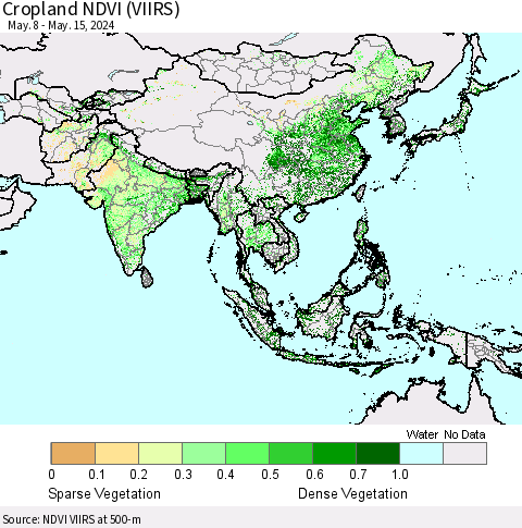 Asia Cropland NDVI (VIIRS) Thematic Map For 5/8/2024 - 5/15/2024