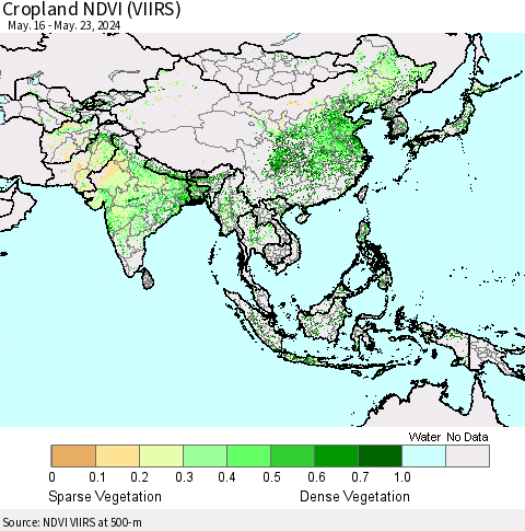 Asia Cropland NDVI (VIIRS) Thematic Map For 5/16/2024 - 5/23/2024