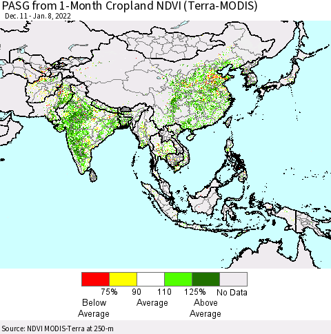Asia PASG from 1-Month Cropland NDVI (Terra-MODIS) Thematic Map For 1/1/2022 - 1/8/2022