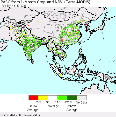 Asia PASG from 1-Month Cropland NDVI (Terra-MODIS) Thematic Map For 3/6/2022 - 3/13/2022