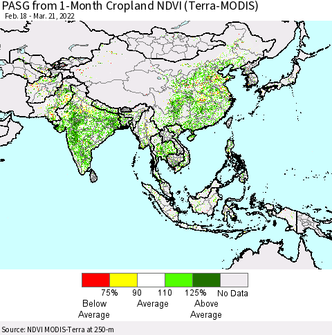 Asia PASG from 1-Month Cropland NDVI (Terra-MODIS) Thematic Map For 3/14/2022 - 3/21/2022