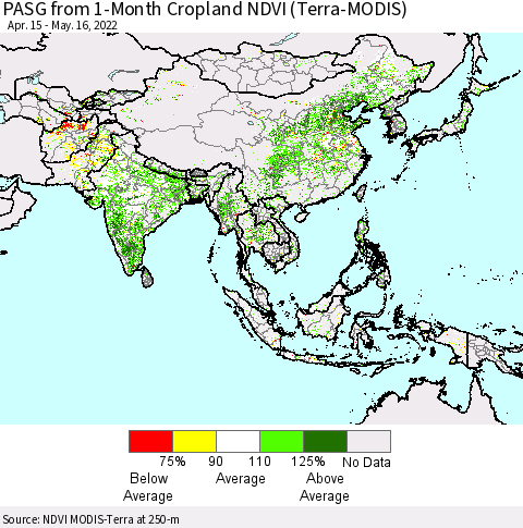 Asia PASG from 1-Month Cropland NDVI (Terra-MODIS) Thematic Map For 5/9/2022 - 5/16/2022